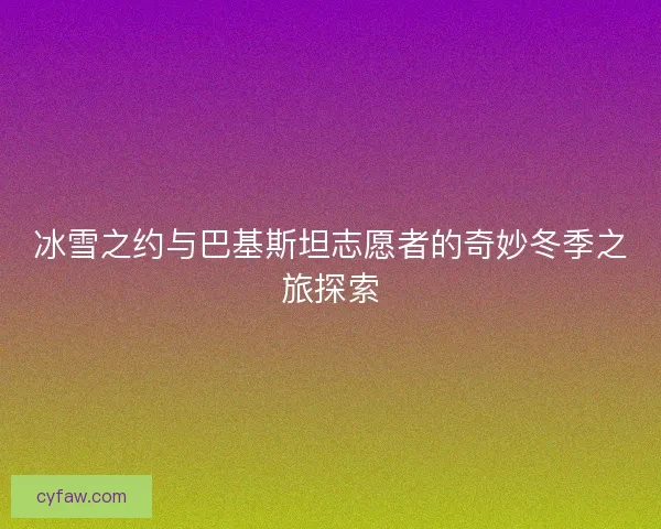 冰雪之约与巴基斯坦志愿者的奇妙冬季之旅探索