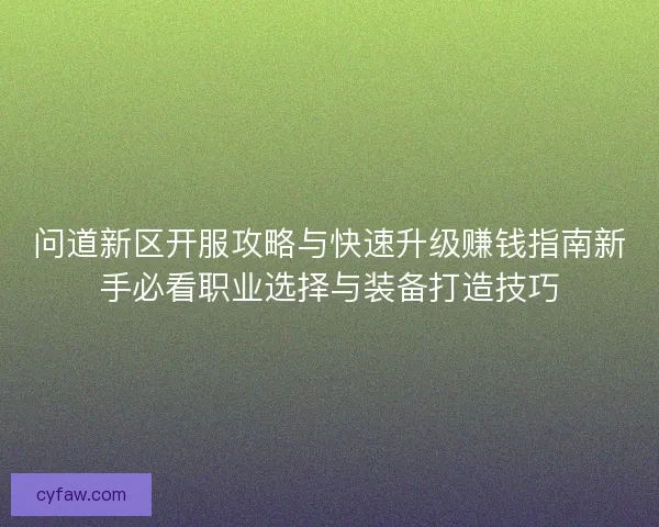 问道新区开服攻略与快速升级赚钱指南新手必看职业选择与装备打造技巧