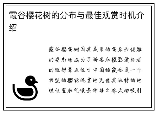 霞谷樱花树的分布与最佳观赏时机介绍